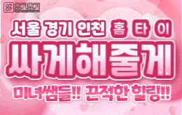 서울 경기 인천 홈타이 홈케어 [ 싸게해줄게홈타이 ]