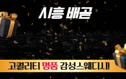 시흥 배곧 스웨디시 마사지 [ 메이드 ]