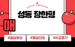 성동 장한평 스웨디시 마사지 [ 애플스웨디시 ]