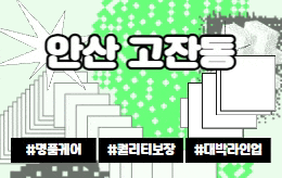안산 고잔동 스웨디시 마사지 [ 짱테라피 ]