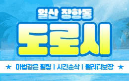 일산 장항동 스웨디시 마사지 [ 도로시 ]