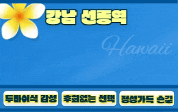 강남 선릉 스웨디시 마사지 [ 하와이아로디시 ]